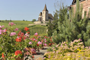 alzacja francja